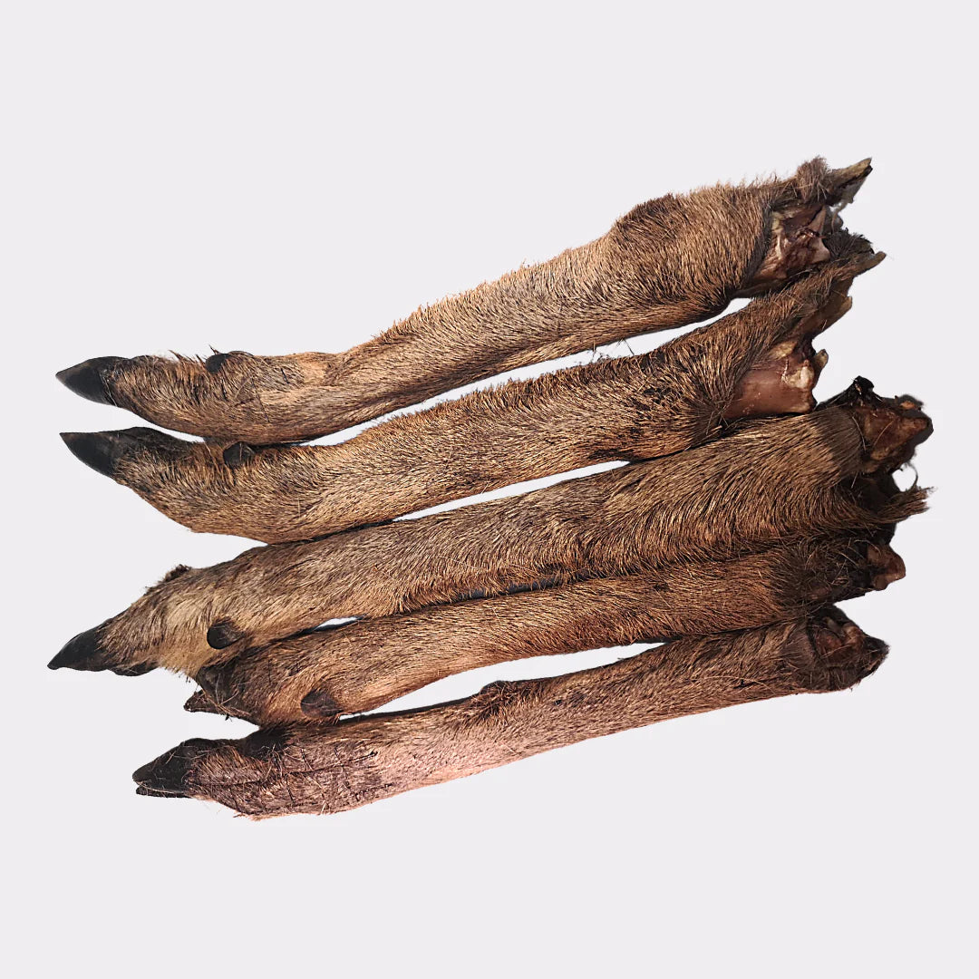 Deer/Venison Leg